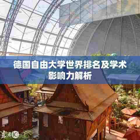 德国自由大学世界排名及学术影响力解析
