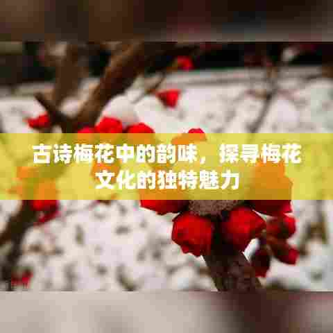 古诗梅花中的韵味,探寻梅花文化的独特魅力
