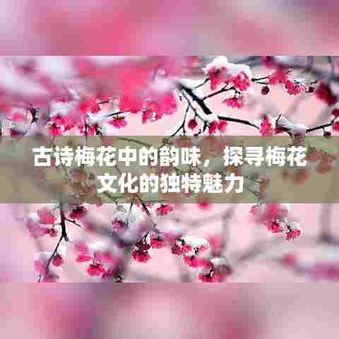 古诗梅花中的韵味,探寻梅花文化的独特魅力
