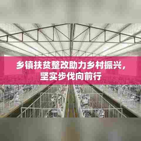 乡镇扶贫整改助力乡村振兴,坚实步伐向前行
