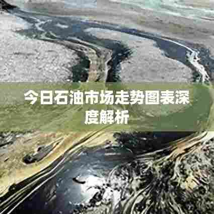 今日石油市场走势图表深度解析