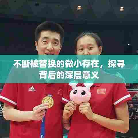 不断被替换的微小存在，探寻背后的深层意义