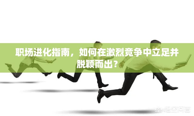 职场进化指南，如何在激烈竞争中立足并脱颖而出？
