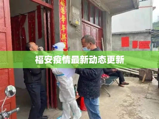 福安疫情最新动态更新