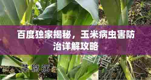 百度独家揭秘，玉米病虫害防治详解攻略