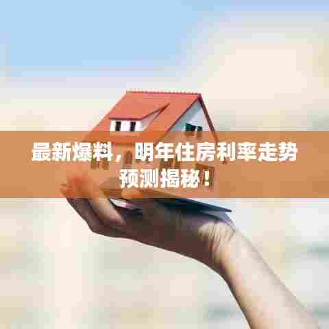 最新爆料，明年住房利率走势预测揭秘！