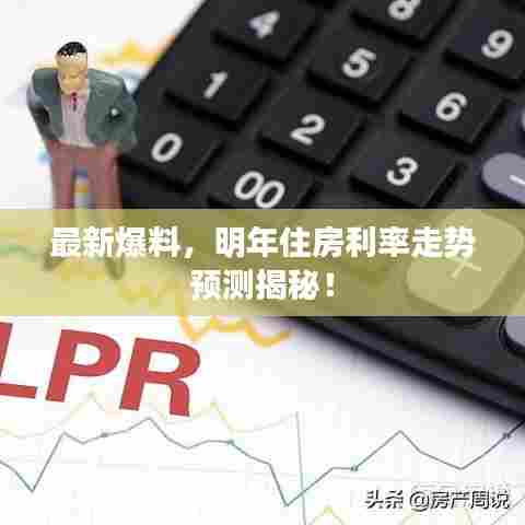 最新爆料,明年住房利率走势预测揭秘!