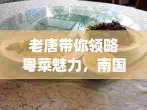 老唐带你领略粤菜魅力，南国美食盛宴，最新视频点评不容错过！