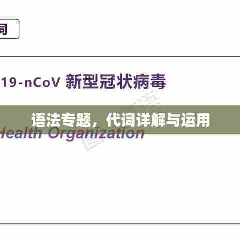语法专题，代词详解与运用
