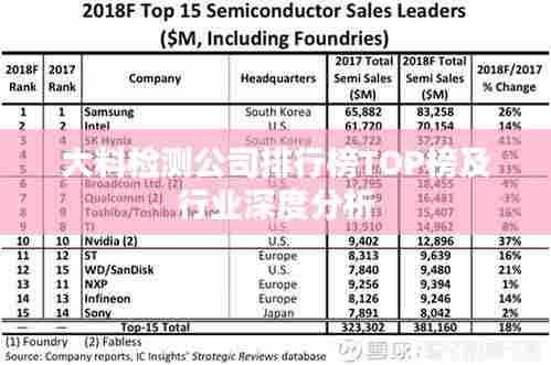 大料检测公司排行榜TOP榜及行业深度分析