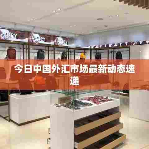 今日中国外汇市场最新动态速递