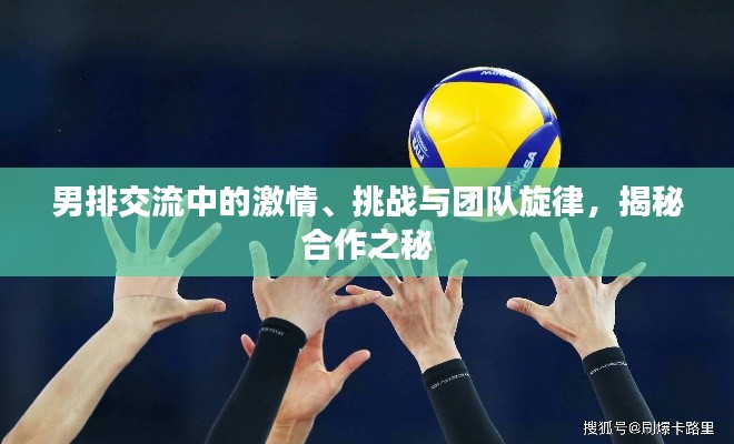 男排交流中的激情、挑战与团队旋律，揭秘合作之秘