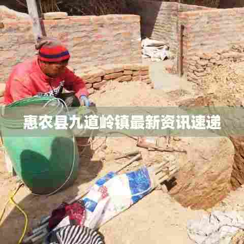 惠农县九道岭镇最新资讯速递