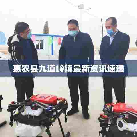 惠农县九道岭镇最新资讯速递