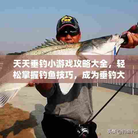 天天垂钓小游戏攻略大全,轻松掌握钓鱼技巧,成为垂钓大师!