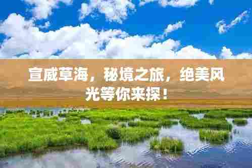 宣威草海，秘境之旅，绝美风光等你来探！