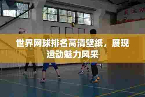 世界网球排名高清壁纸,展现运动魅力风采