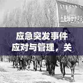 应急突发事件应对与管理，关键策略与操作指南