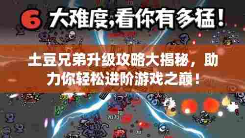 土豆兄弟升级攻略大揭秘,助力你轻松进阶游戏之巅!