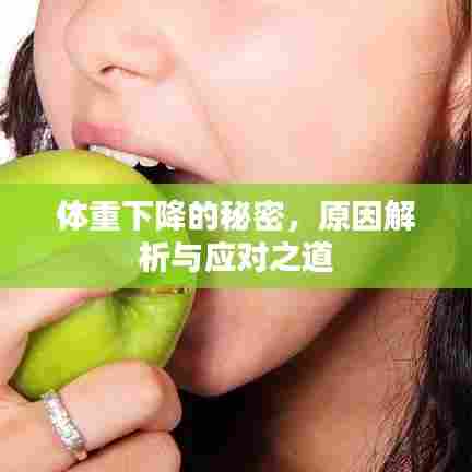 体重下降的秘密,原因解析与应对之道