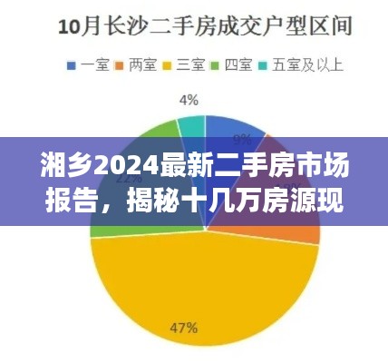 湘乡2024最新二手房市场报告，揭秘十几万房源现状，洞悉市场动态