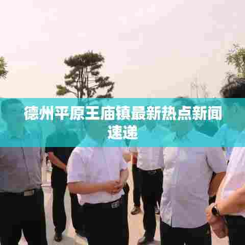 德州平原王庙镇最新热点新闻速递