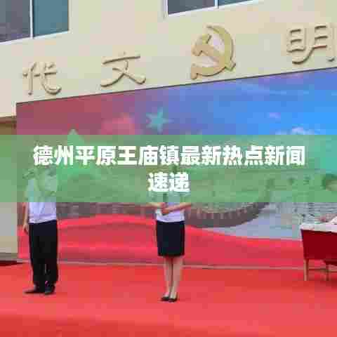 德州平原王庙镇最新热点新闻速递