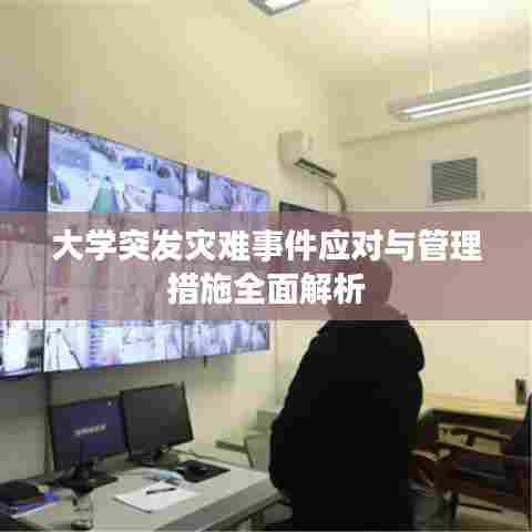 大学突发灾难事件应对与管理措施全面解析