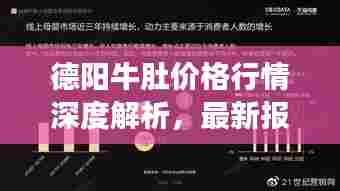 德阳牛肚价格行情深度解析，最新报告揭示市场走势