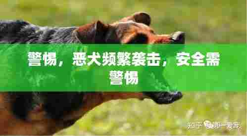 警惕，恶犬频繁袭击，安全需警惕