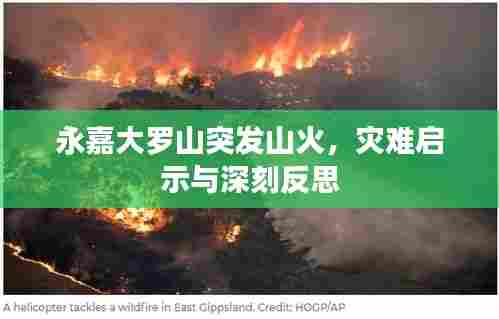 永嘉大罗山突发山火，灾难启示与深刻反思
