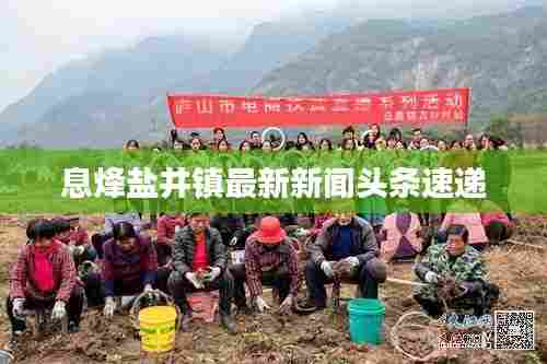 息烽盐井镇最新新闻头条速递