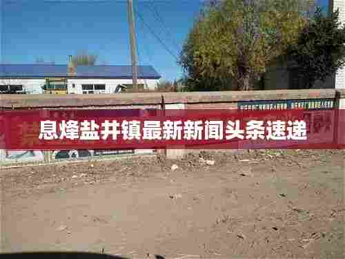 息烽盐井镇最新新闻头条速递