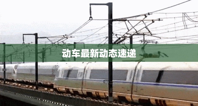 动车最新动态速递