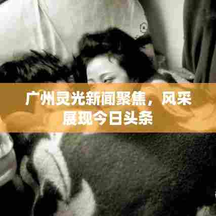 广州灵光新闻聚焦，风采展现今日头条