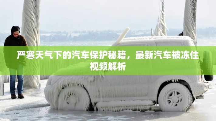 严寒天气下的汽车保护秘籍，最新汽车被冻住视频解析
