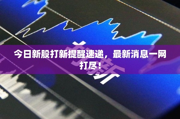 今日新股打新提醒速递，最新消息一网打尽！