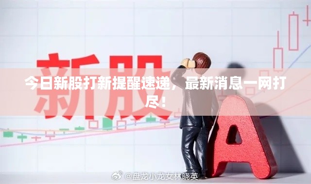 今日新股打新提醒速递,最新消息一网打尽!
