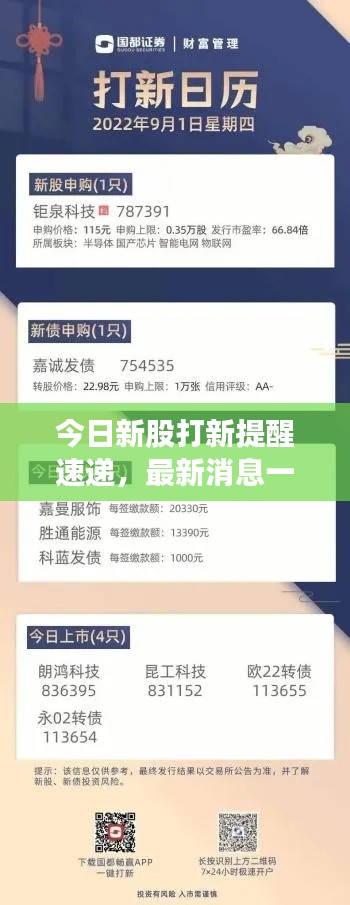 今日新股打新提醒速递,最新消息一网打尽!