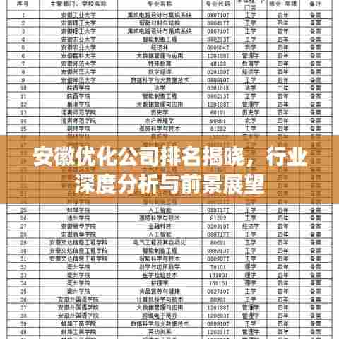 安徽优化公司排名揭晓，行业深度分析与前景展望