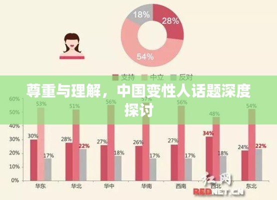 尊重与理解,中国变性人话题深度探讨