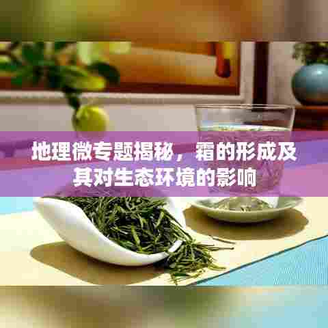 地理微专题揭秘，霜的形成及其对生态环境的影响