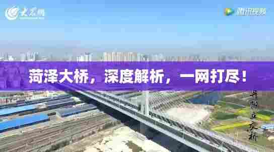 菏泽大桥，深度解析，一网打尽！