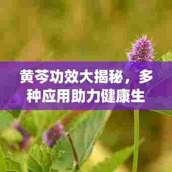 候鸟南飞 第6页