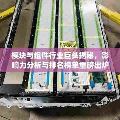 模块与组件行业巨头揭秘，影响力分析与排名榜单重磅出炉！