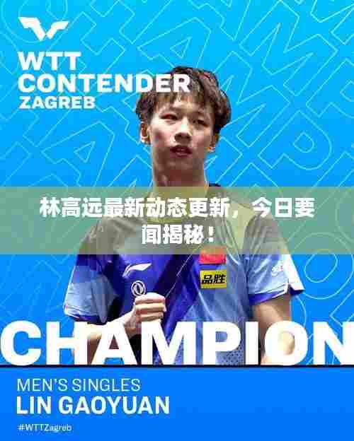 林高远最新动态更新,今日要闻揭秘!