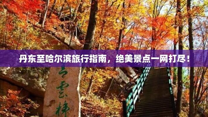 丹东至哈尔滨旅行指南,绝美景点一网打尽!