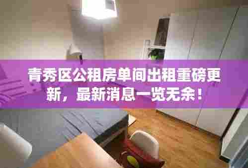 青秀区公租房单间出租重磅更新，最新消息一览无余！