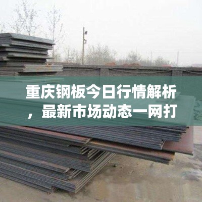 重庆钢板今日行情解析，最新市场动态一网打尽！