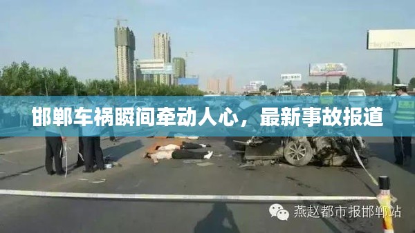 林下风气 第5页